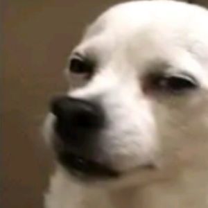 Meet your Posher, Johnny